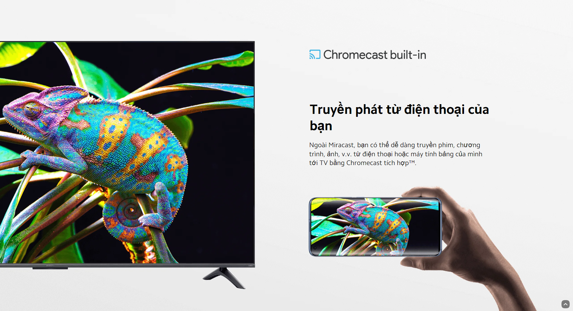 google-tivi-xiaomi-qled-4k-pro-55-inch-l55ma-ssea-71418-13