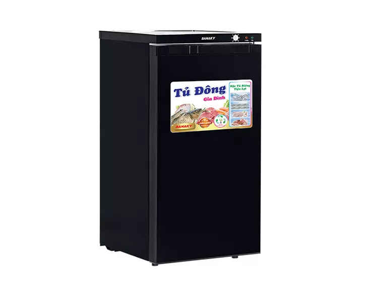 Tủ Đông Sanaky 118 lít VH-160K