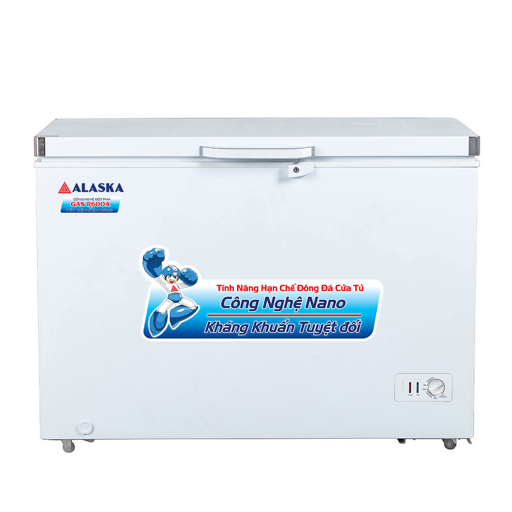 Tủ Đông BD-400