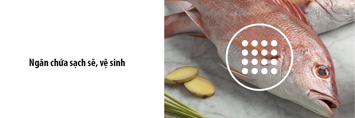 Ngăn chứa sạch sẽ, vệ sinh
