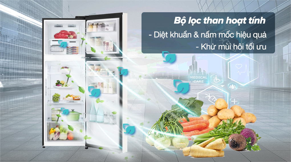 Tủ lạnh LG Inverter 335 lít GN-B332BG - Bộ lọc khử mùi than hoạt tính giúp diệt khuẩn và nấm mốc hiệu quả, khử mùi hôi tối ưu