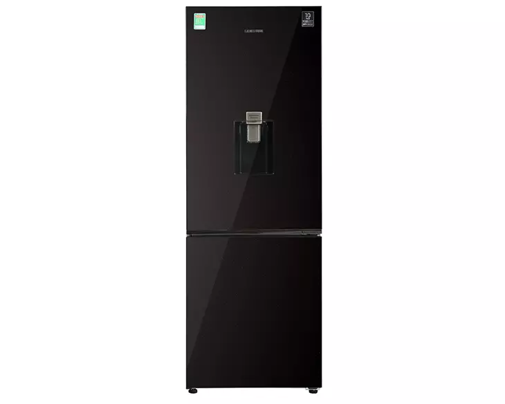 Tủ lạnh Samsung Inverter 307 lít RB30N4190BY/SV