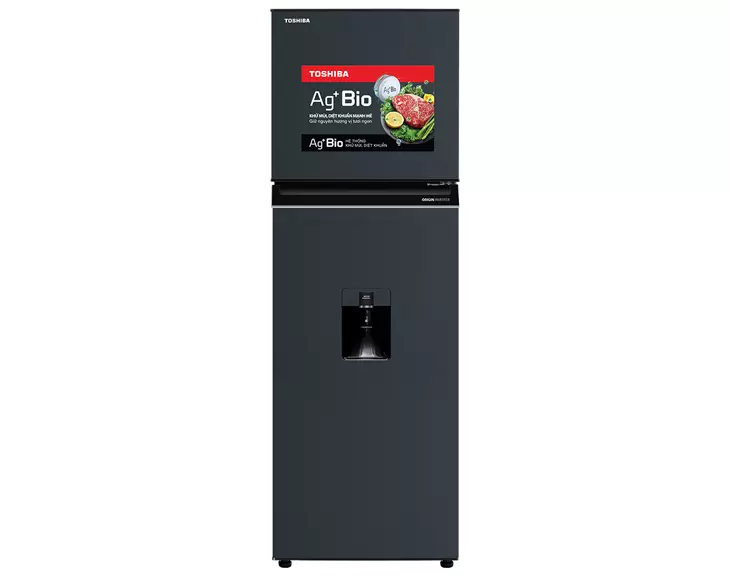 Tủ lạnh Toshiba Inverter 249 lít GR-RT325WE-PMV(06)-MG