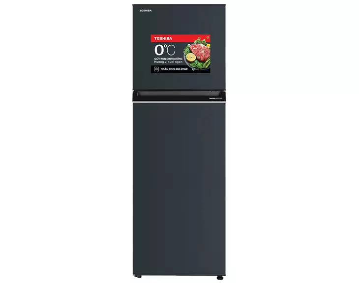 Tủ lạnh Toshiba Inverter 253 lít GR-RT329WE-PMV(52)