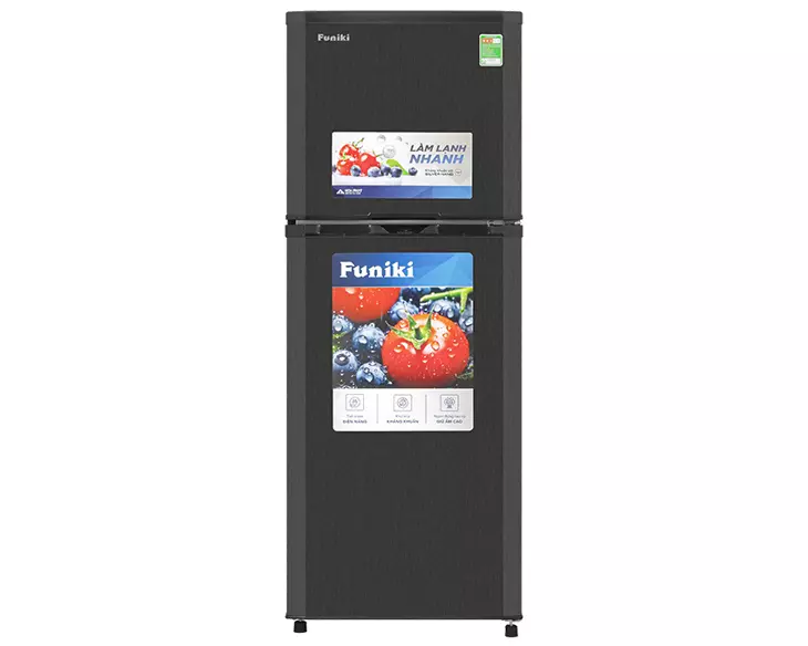 Tủ lạnh Funiki 209 lít HR T6209TDG