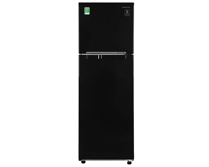 Tủ lạnh Samsung Inverter 256 lít RT25M4032BU/SV